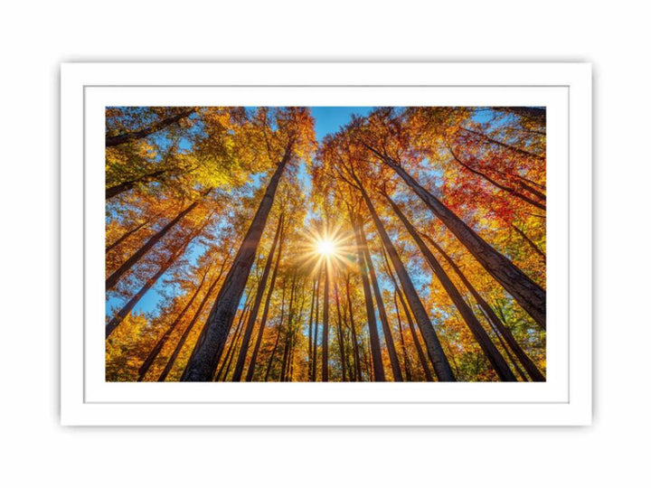 Sunshine 11 Streched canvas