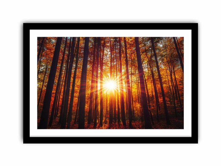 Sunshine 12  Art Print