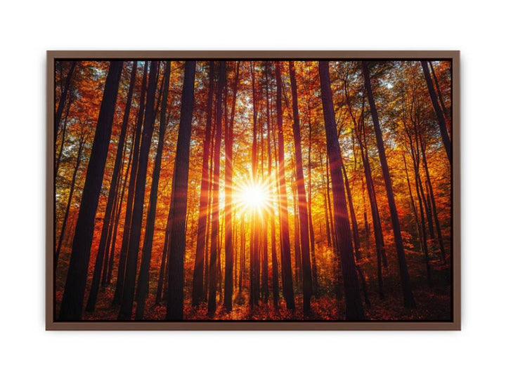Sunshine 12  Poster