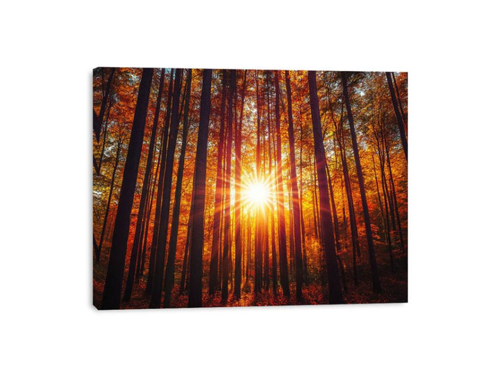 Sunshine 12 Canvas Print