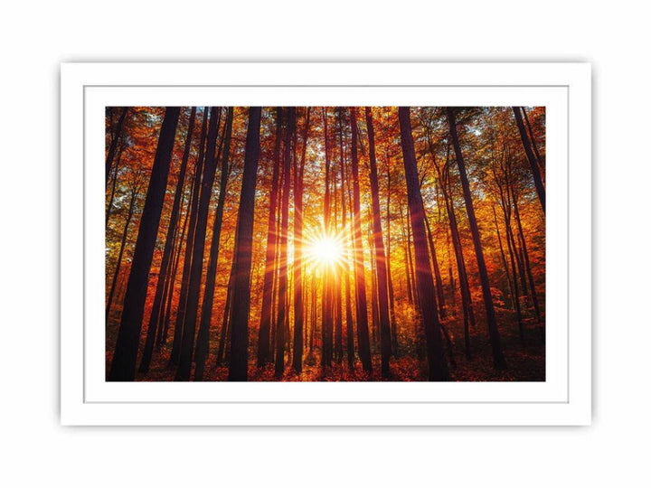 Sunshine 12 Streched canvas