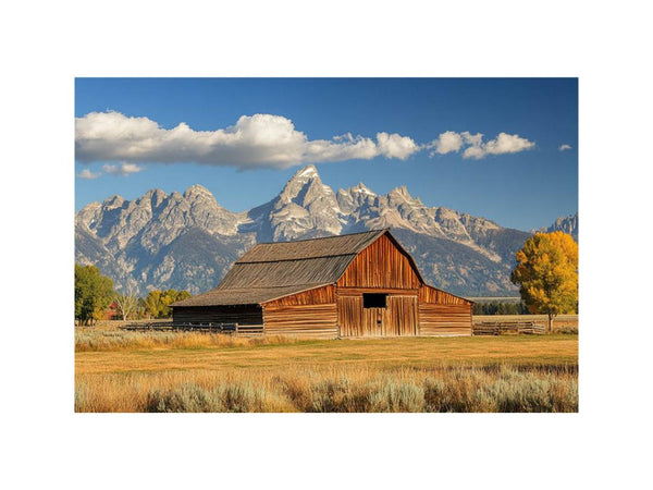 Barn 11