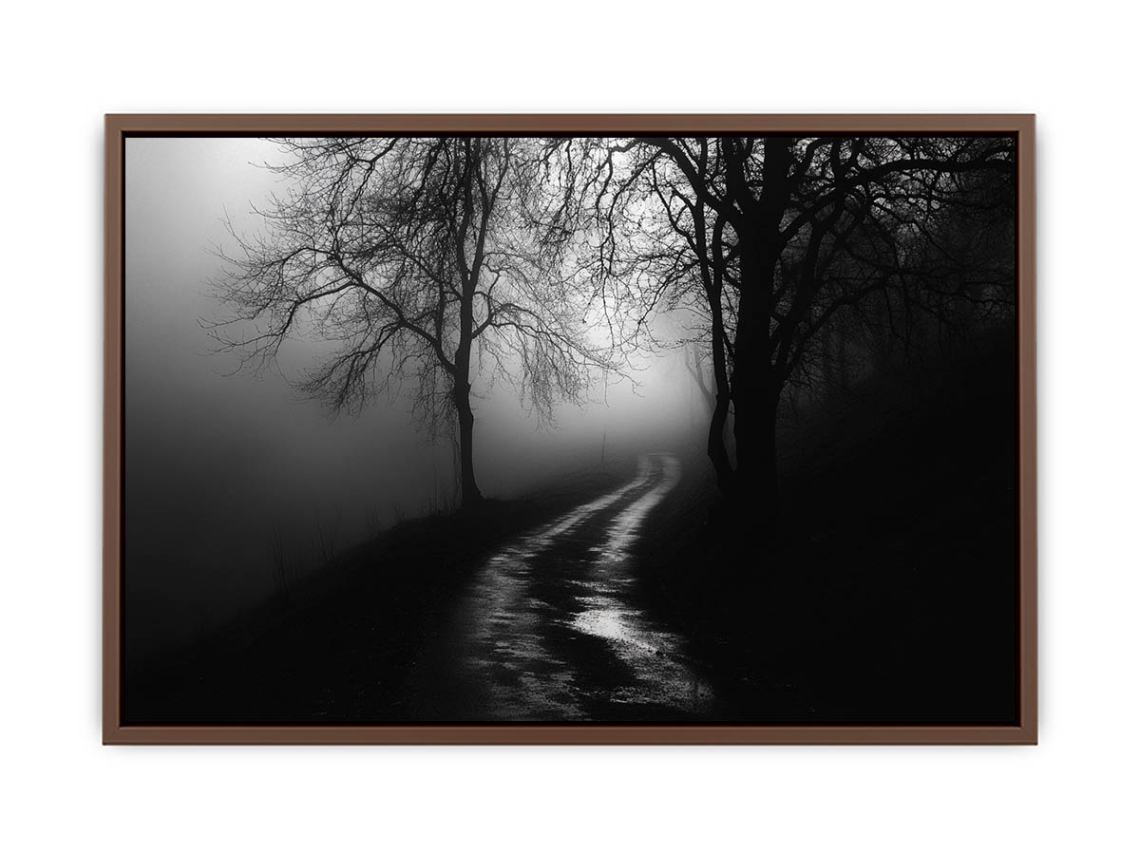 monochrome path  Poster