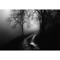 monochrome path