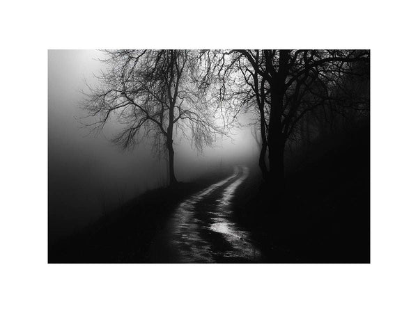 monochrome path