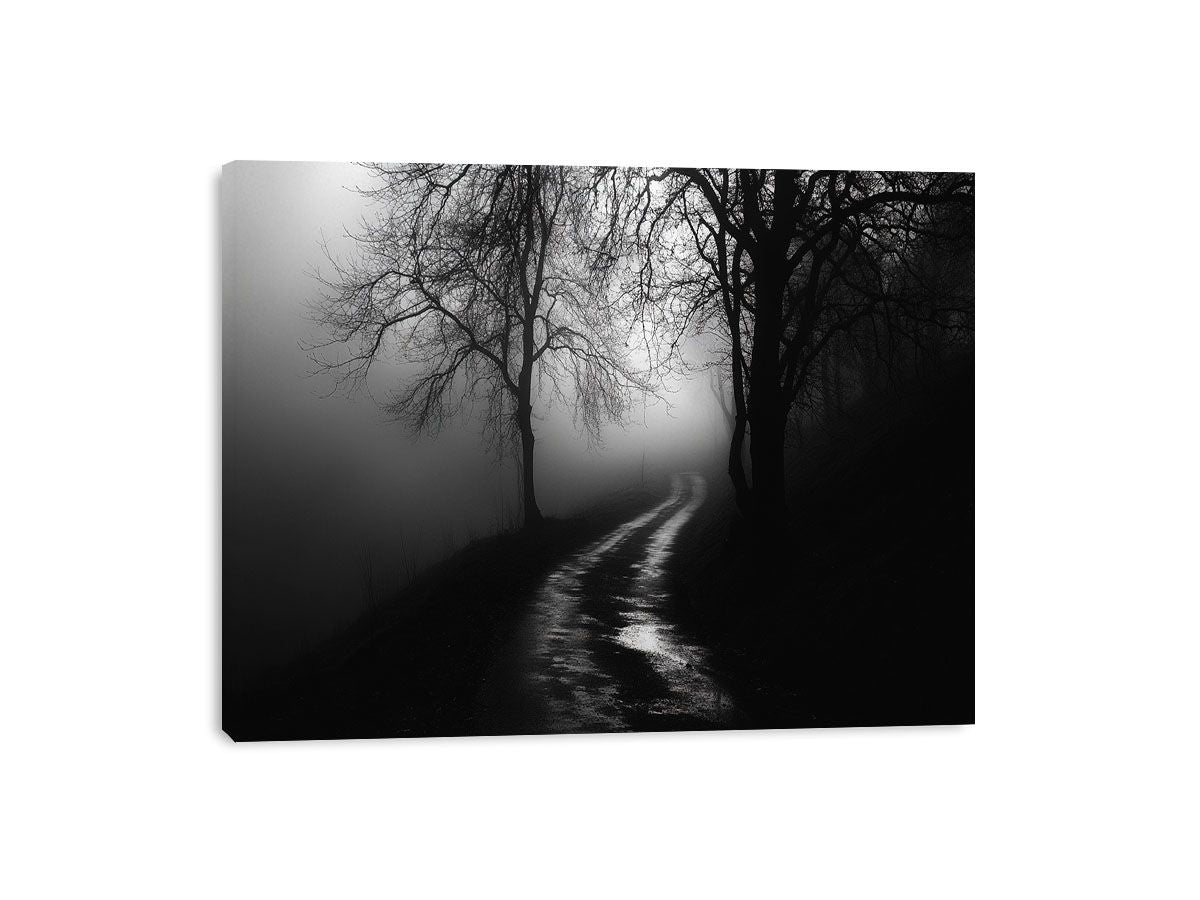 monochrome path Canvas Print