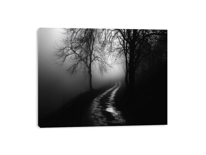 monochrome path Canvas Print