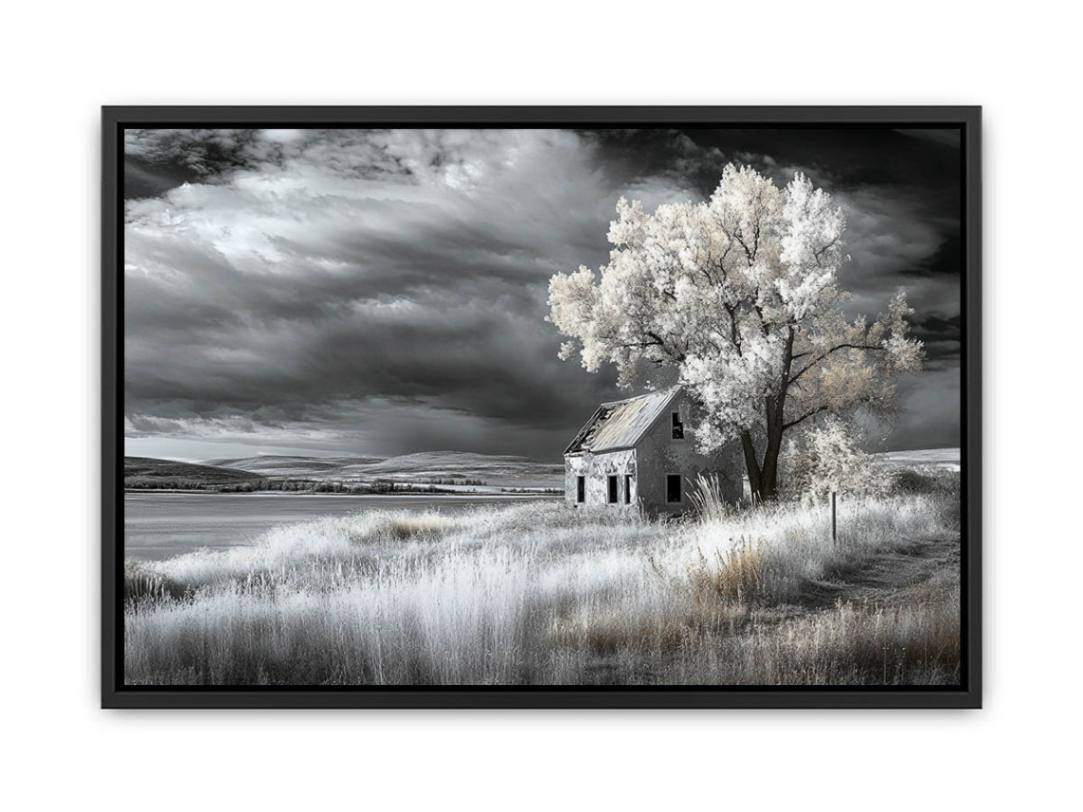 monochrome Barn  Painting