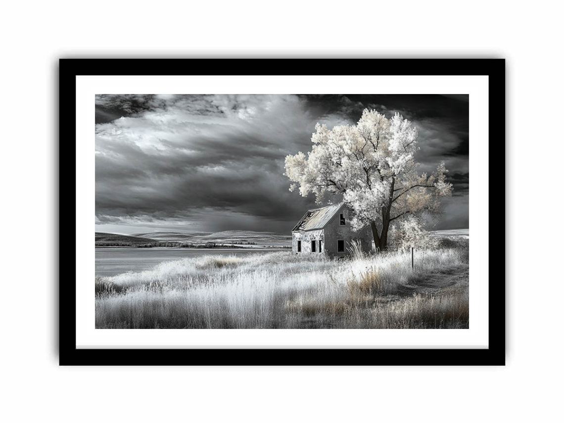 monochrome Barn  Art Print