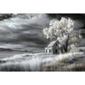 monochrome Barn