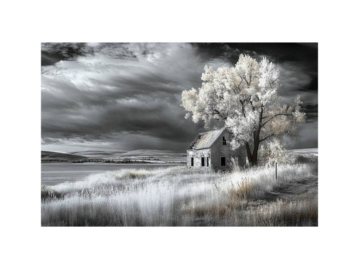 monochrome Barn