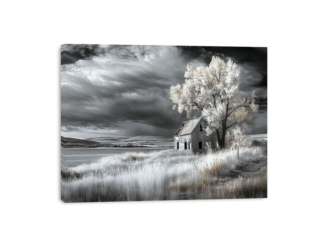 monochrome Barn Canvas Print