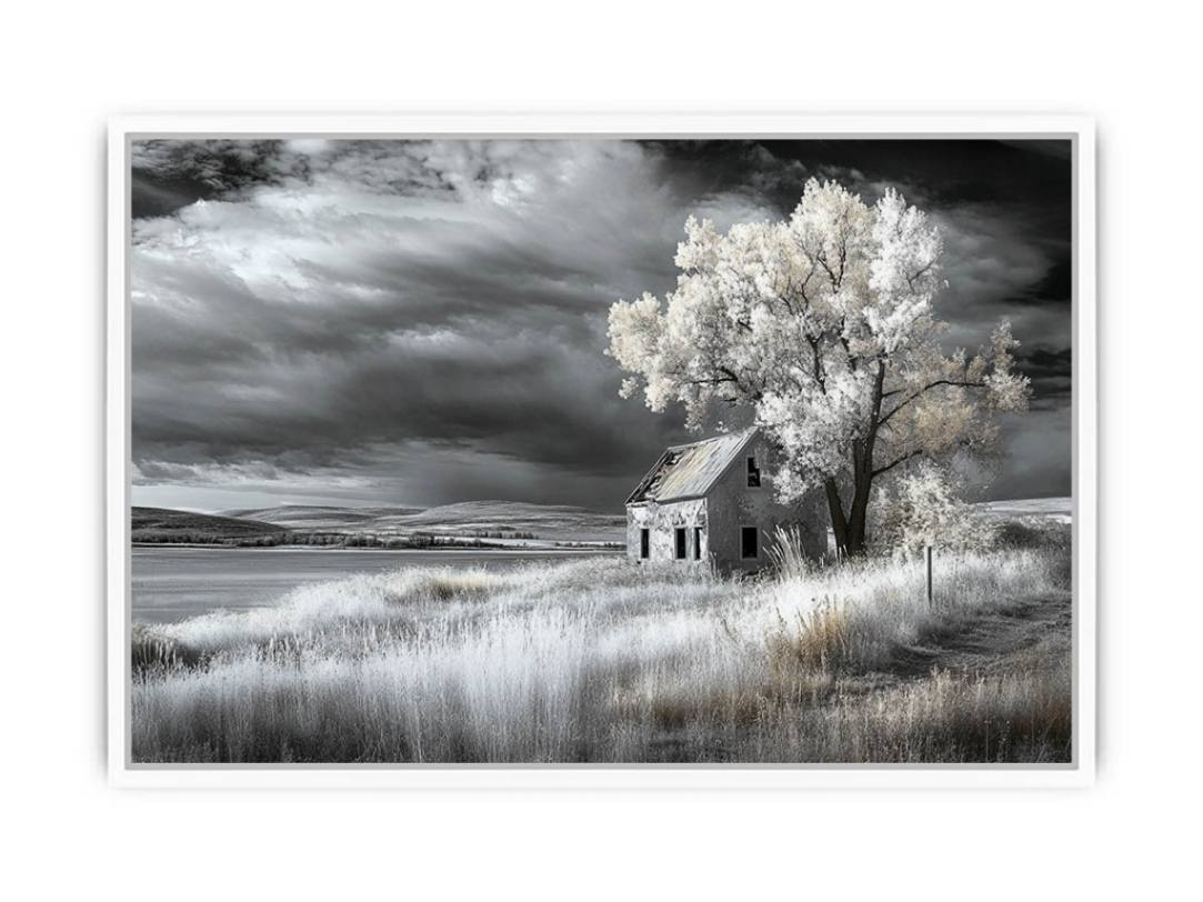 monochrome Barn Framed Print