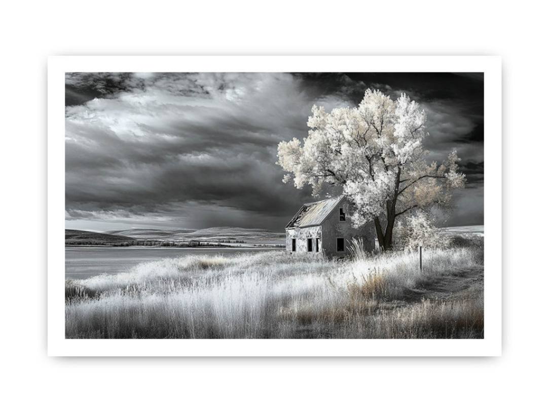 Framed print