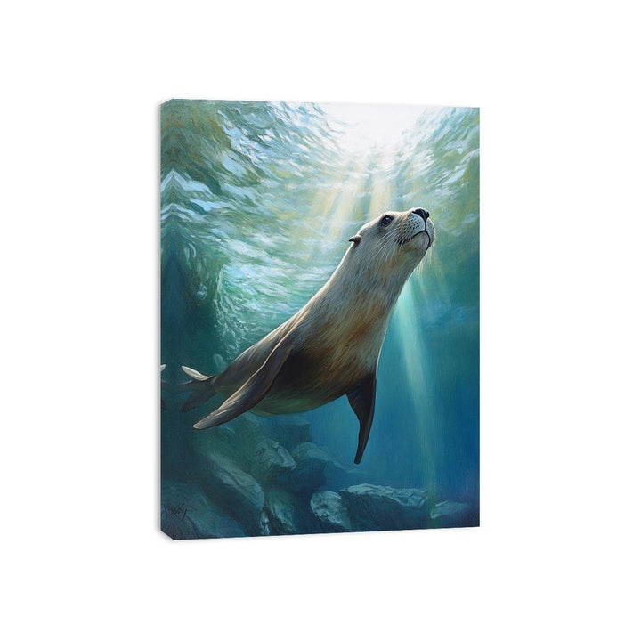 Australian Sea Lion Canvas Print