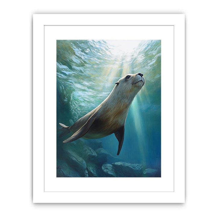 Australian Sea Lion Streched canvas