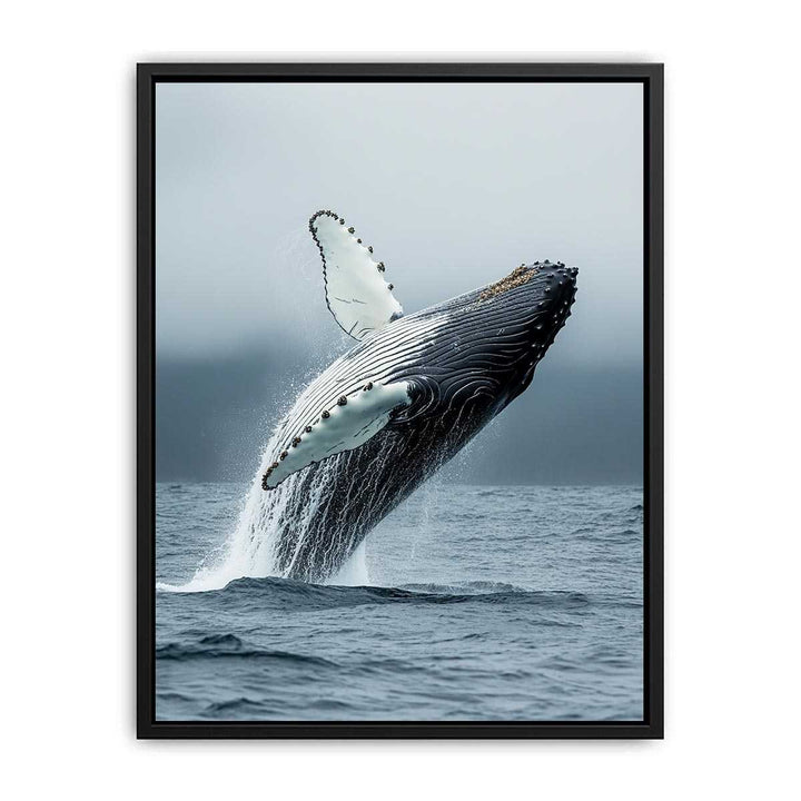 Humpback Whale  Painting