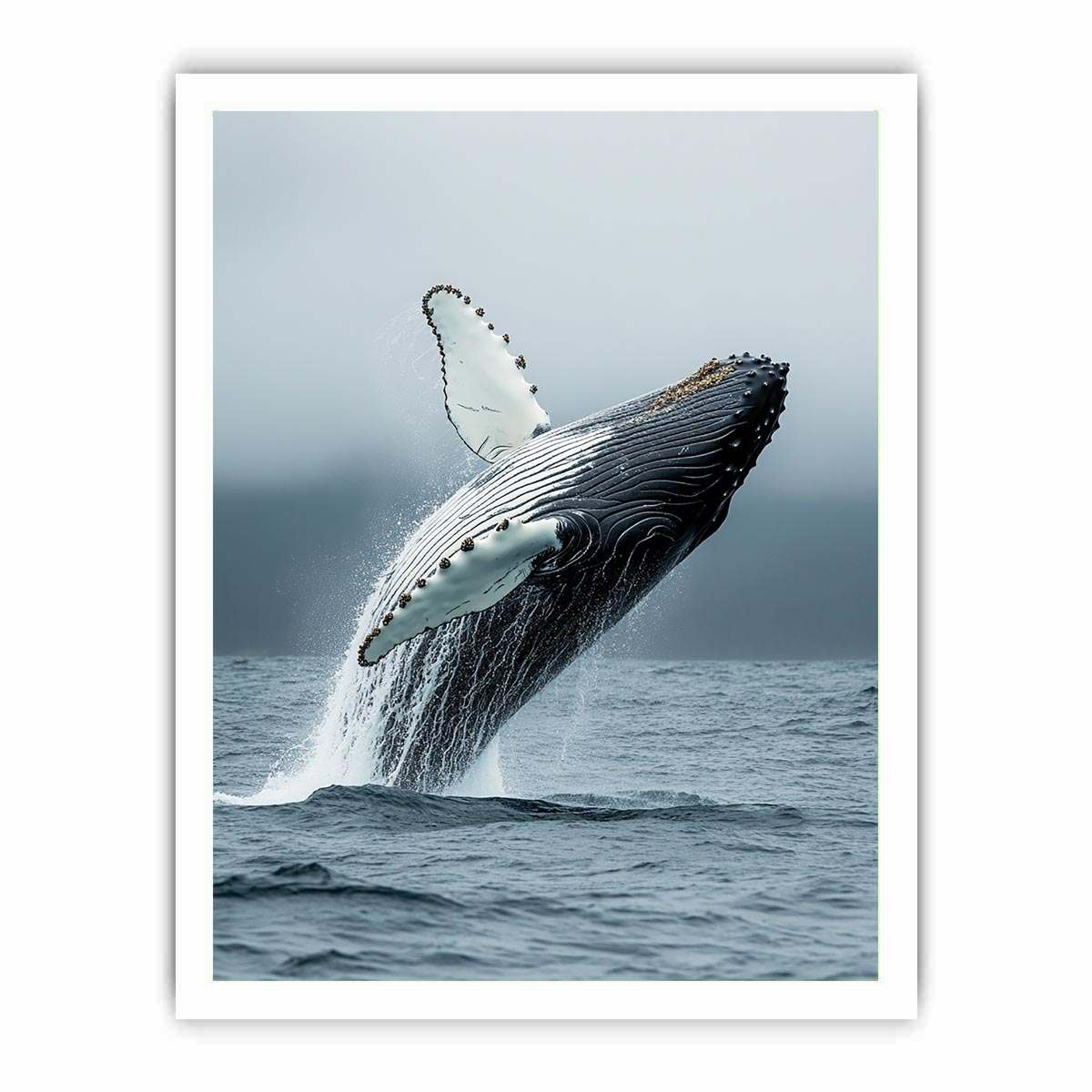 Framed print