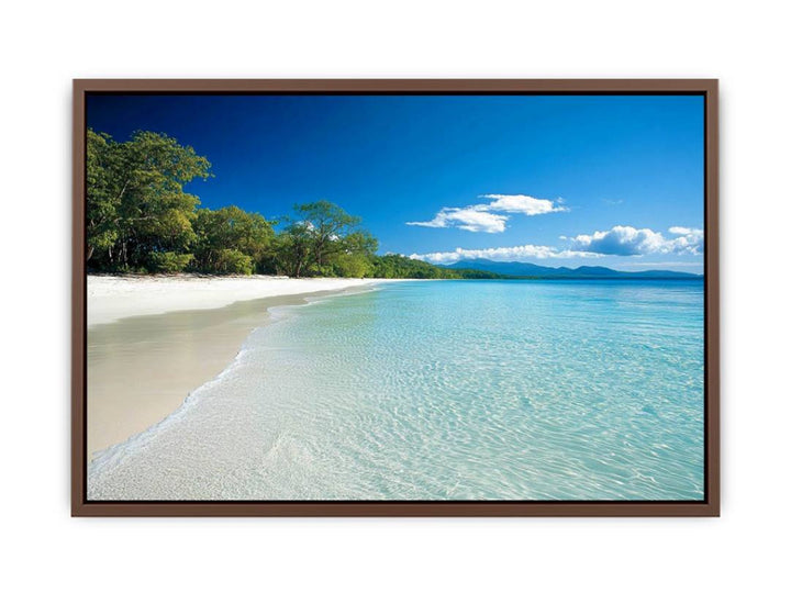 Gympie Beach  Poster