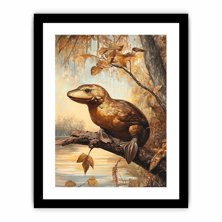 Platypus  Art Print