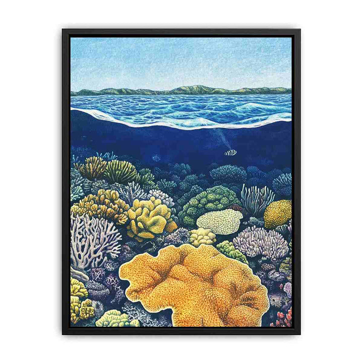 Coral of the Great Barrier Reef  Painting