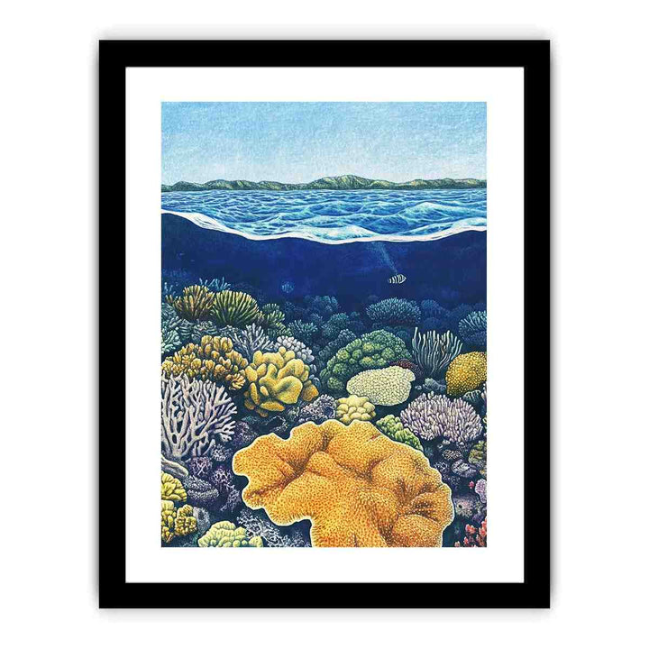 Coral of the Great Barrier Reef  Art Print
