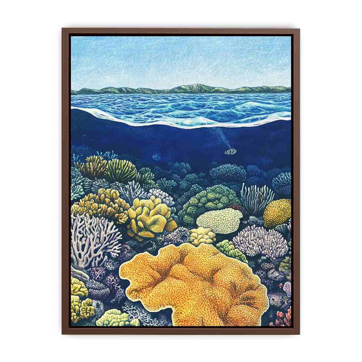 Coral of the Great Barrier Reef  Poster