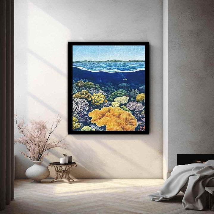 Coral of the Great Barrier Reef 