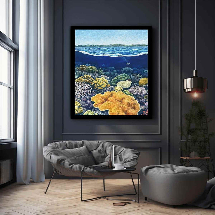 Coral of the Great Barrier Reef 