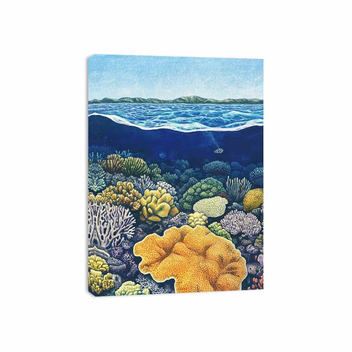 Coral of the Great Barrier Reef Canvas Print