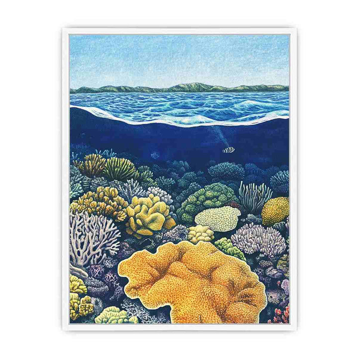 Coral of the Great Barrier Reef Framed Print