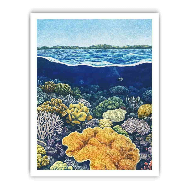 Framed print