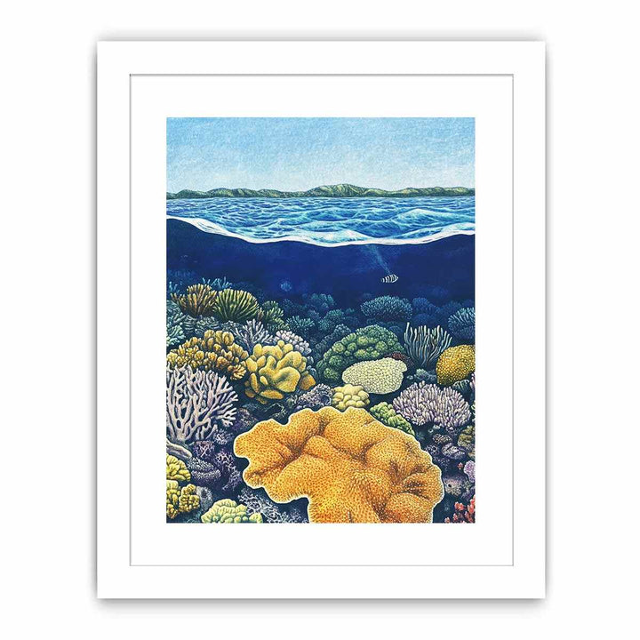 Coral of the Great Barrier Reef Streched canvas