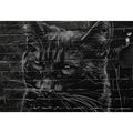 Graffiti Cat