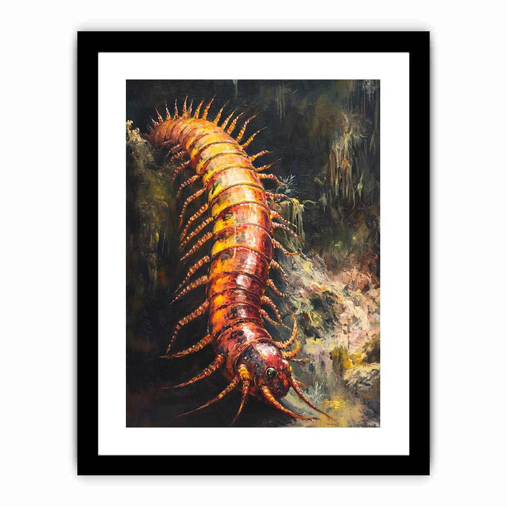 Australian Giant Centipede  Art Print