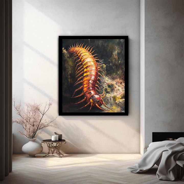 Australian Giant Centipede 