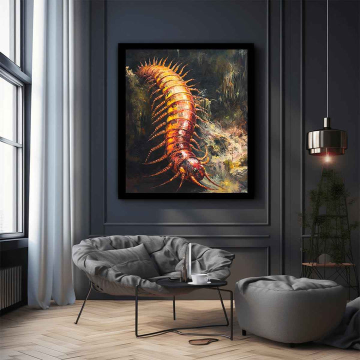 Australian Giant Centipede 