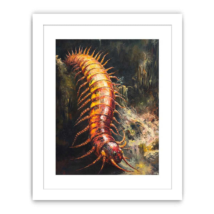Australian Giant Centipede Streched canvas