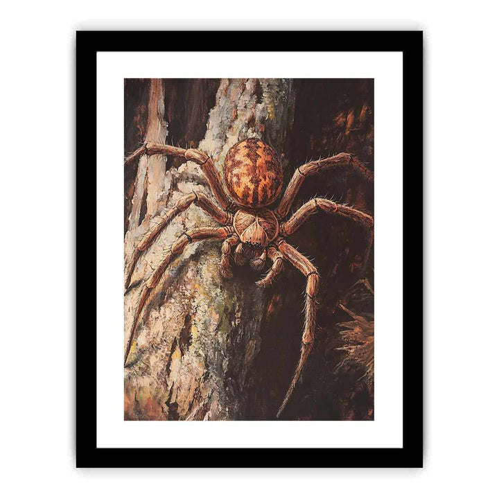Huntsman Spider  Art Print