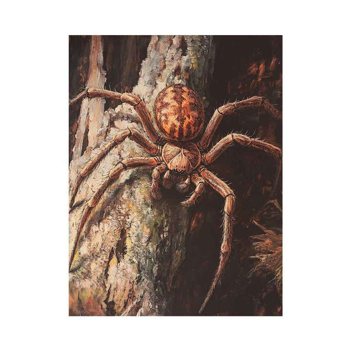 Huntsman Spider