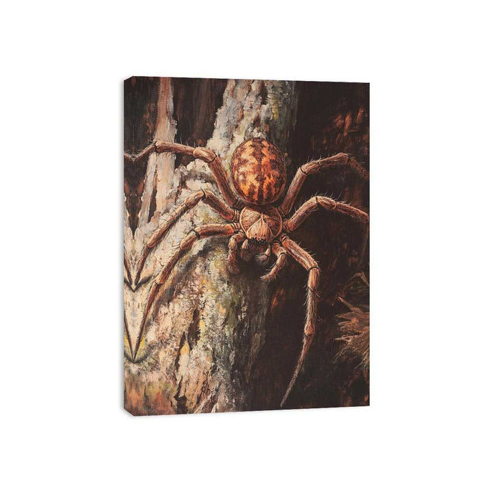 Huntsman Spider Canvas Print