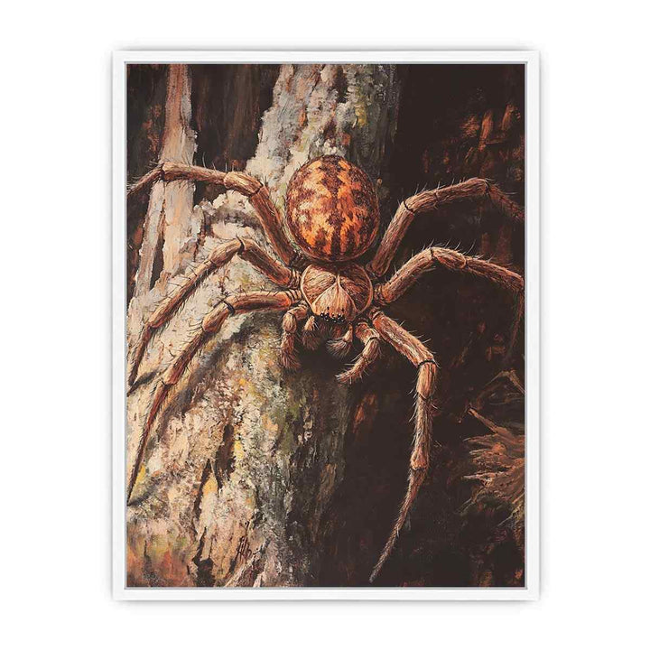 Huntsman Spider Framed Print