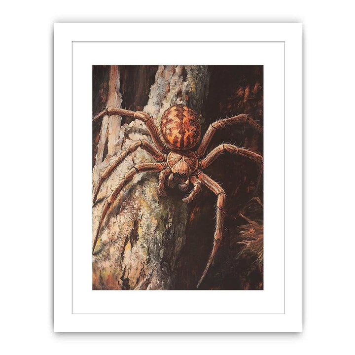 Huntsman Spider Streched canvas