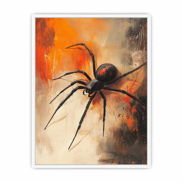 Redback Spider Framed Print
