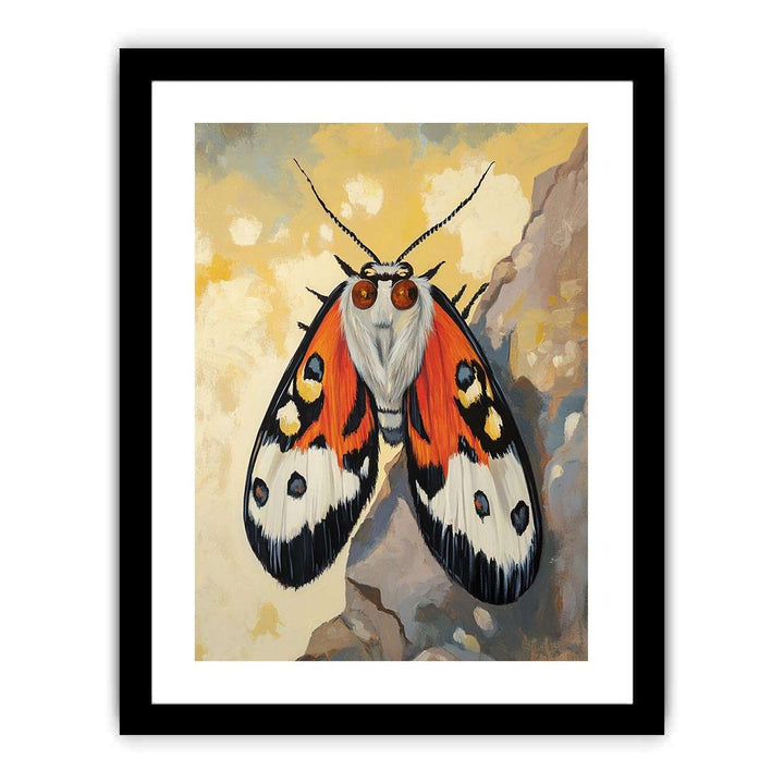 Bogong Moth  Art Print
