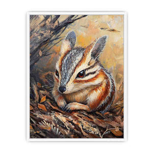 Numbat Framed Print