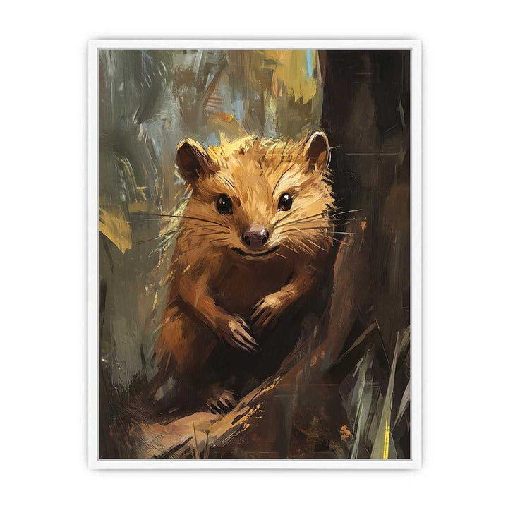 Bandicoot Framed Print