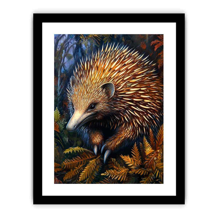 Echidna (Spiny Anteater)  Art Print
