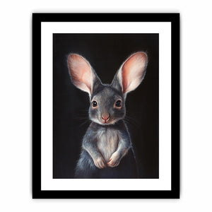 Bilby  Art Print