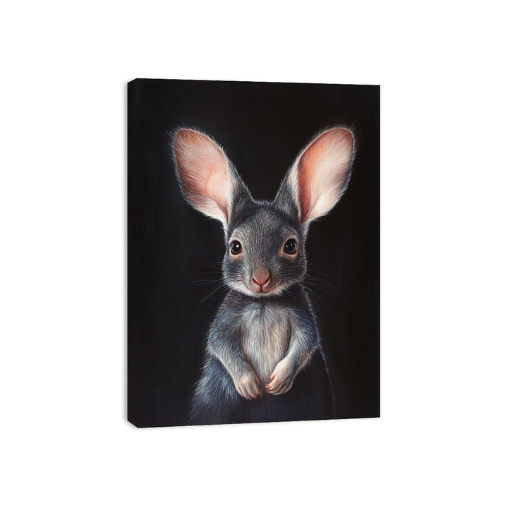 Bilby Canvas Print